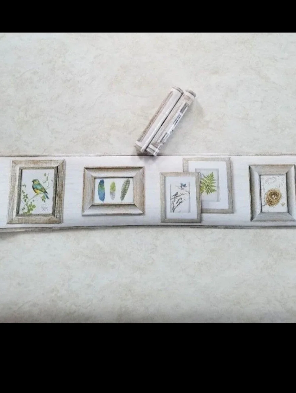 Wallpaper Border Feathers Birds & Ferns